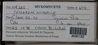 Image Associated With the Occurence